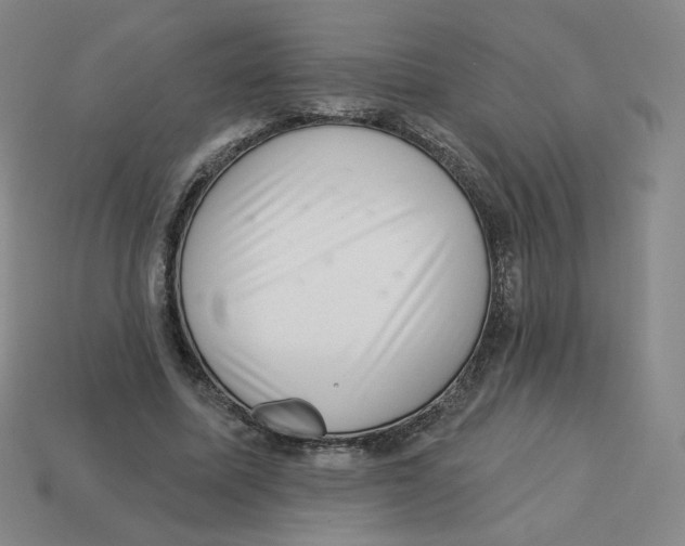 X0000113320587200910131130