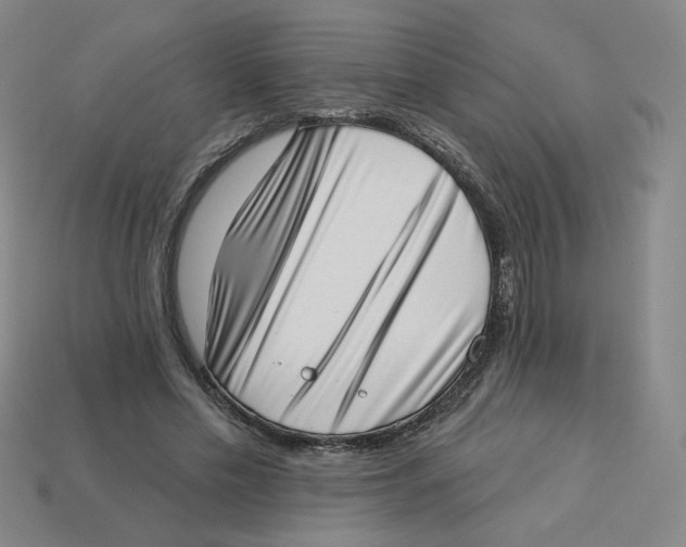 X0000113320589200910131130