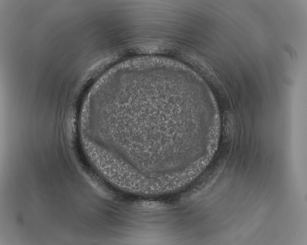 X0000113320590200910131130