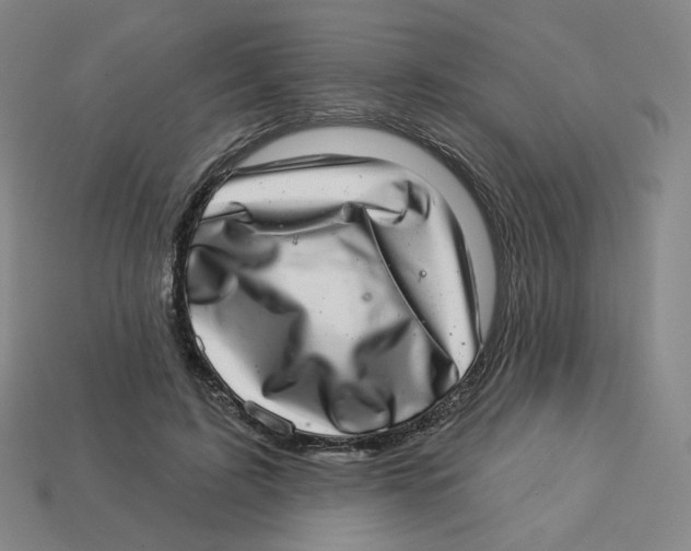 X0000113320595200910131130