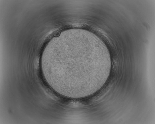 X0000113320596200910131130