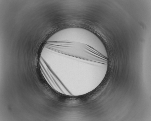 X0000113320597200910131130