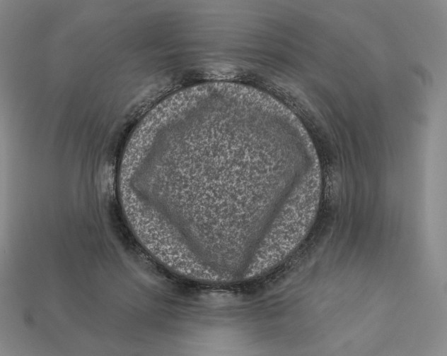 X0000113320598200910131130