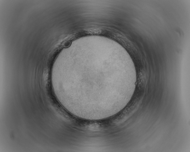 X0000113320600200910131130