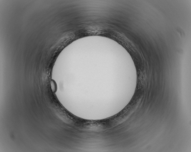 X0000113320601200910131130