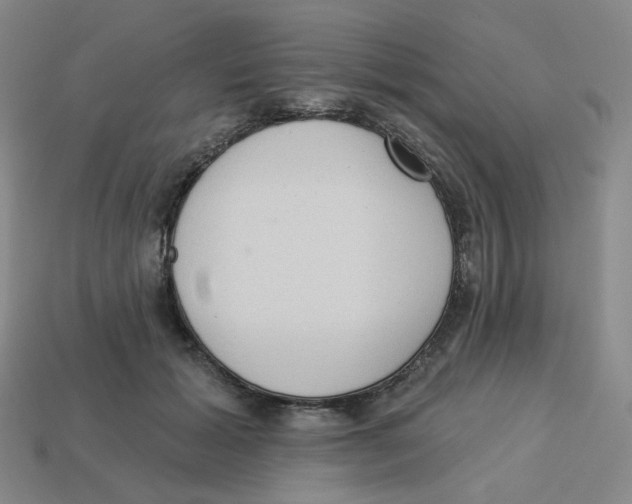 X0000113320605200910131130