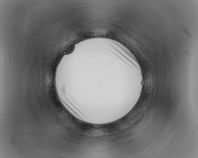 X0000113320608200910131130