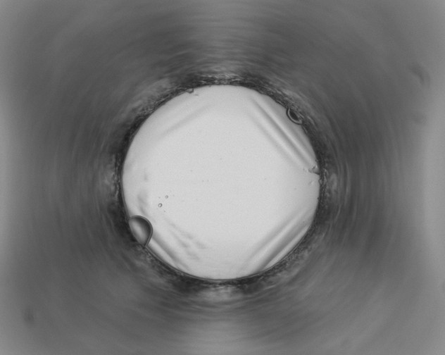 X0000113320609200910131130