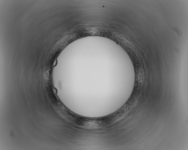 X0000113320611200910131130