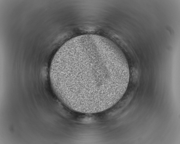 X0000113320612200910131130