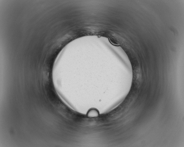 X0000113320615200910131130