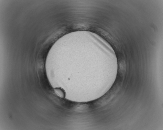 X0000113320617200910131129