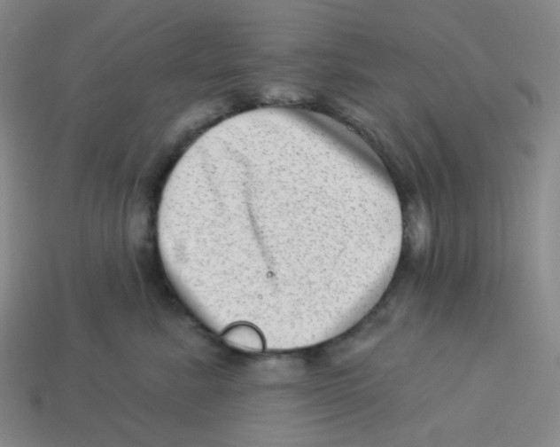 X0000113320619200910131129