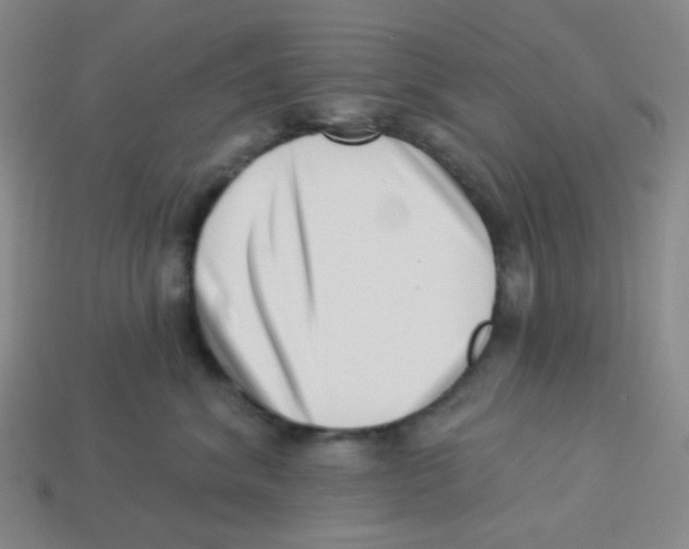 X0000113320620200910131129