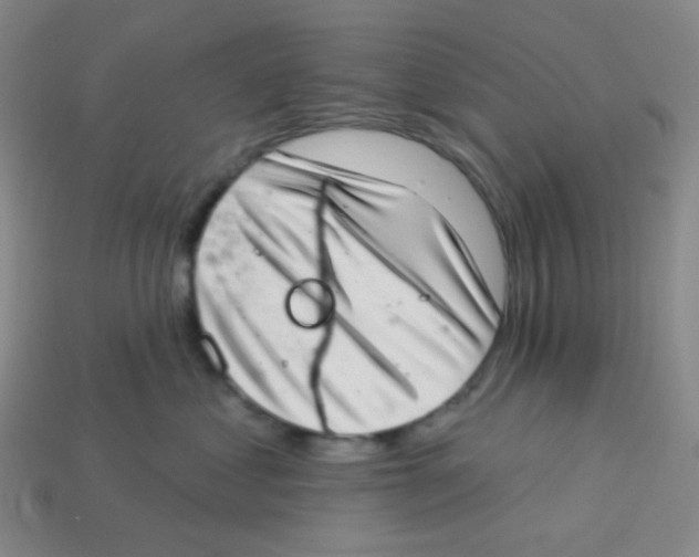 X0000113320621200910131129