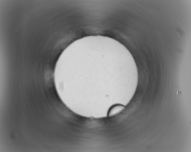 X0000113320624200910131129