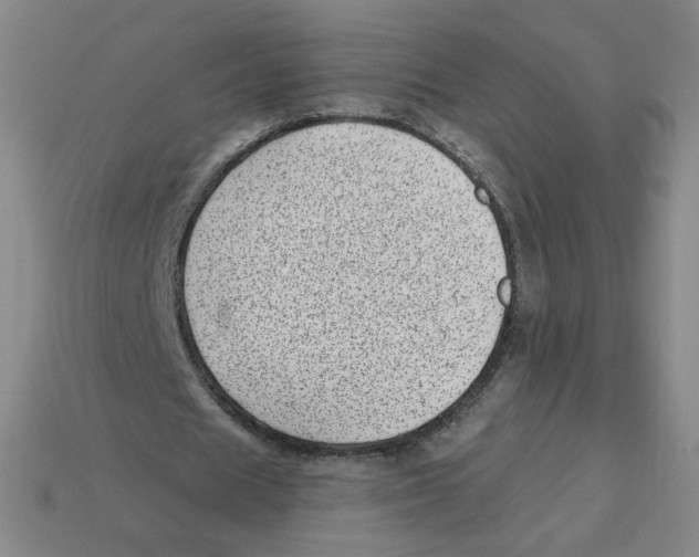 X0000113320625200910131129