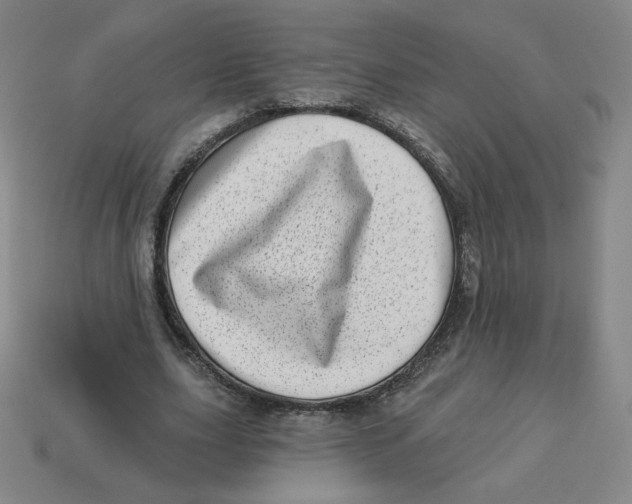 X0000113320631200910131129