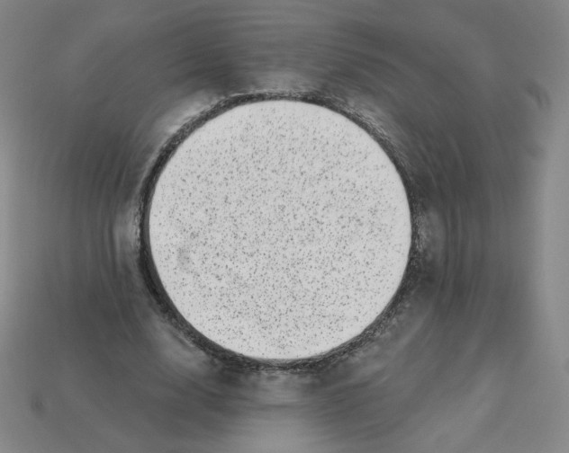 X0000113320632200910131129