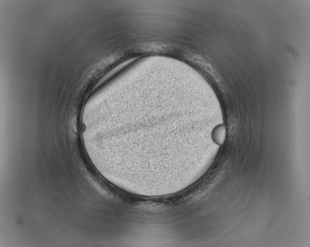 X0000113320633200910131129