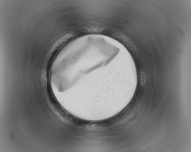 X0000113320634200910131129