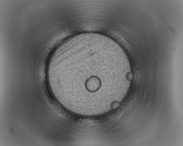 X0000113320635200910131129