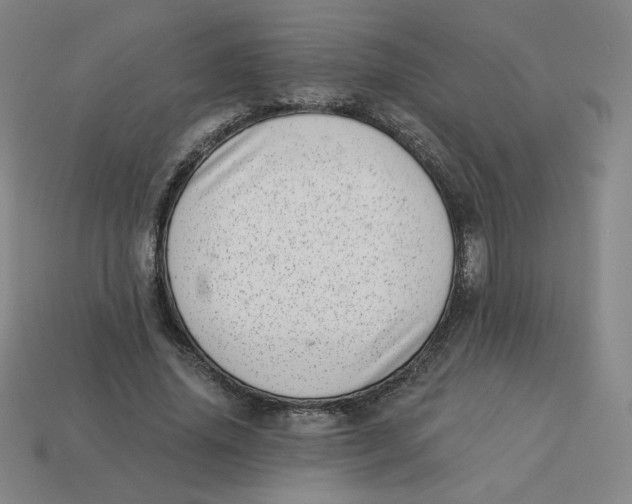 X0000113320636200910131129