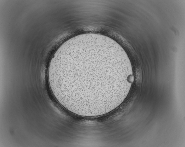 X0000113320637200910131129