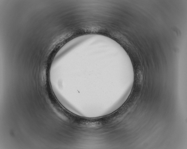 X0000113320638200910131129