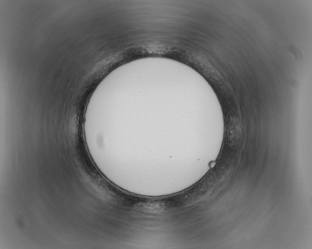 X0000113320639200910131129