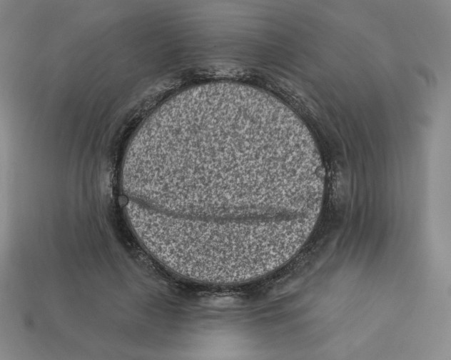 X0000113320643200910131129