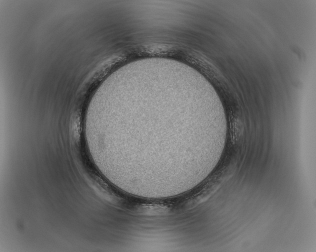 X0000113320644200910131129