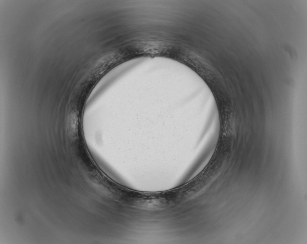 X0000113320646200910131129