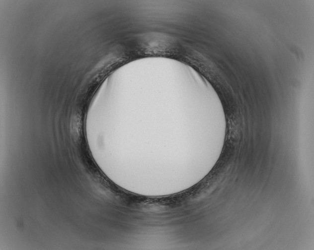 X0000113320648200910131129