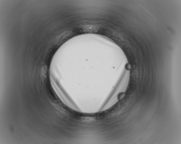 X0000113320649200910131129