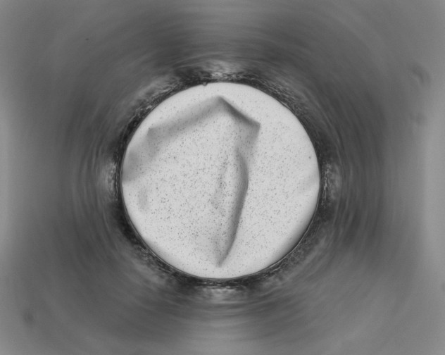 X0000113320650200910131129