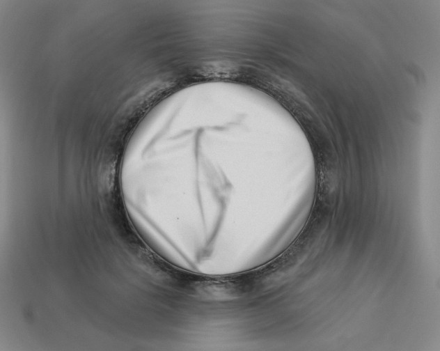 X0000113320652200910131129