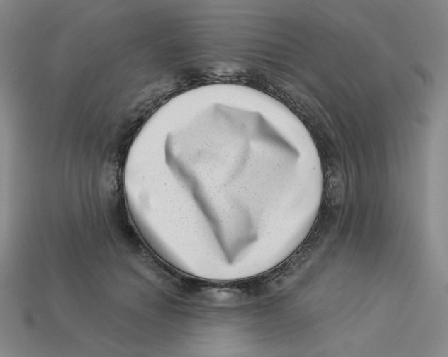 X0000113320654200910131129