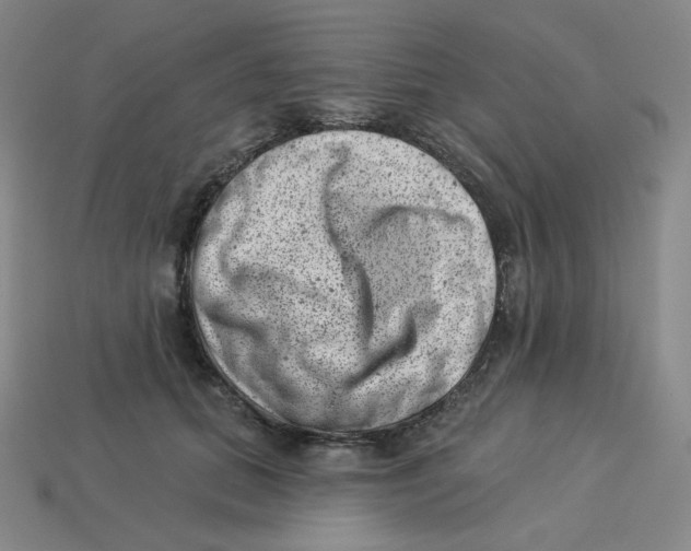 X0000113320655200910131129