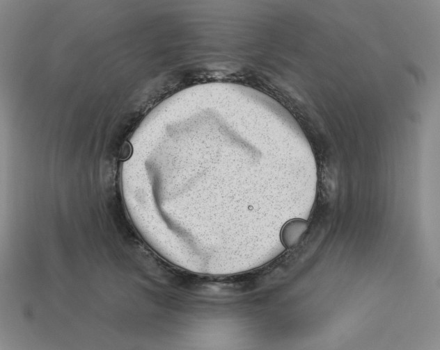 X0000113320657200910131129