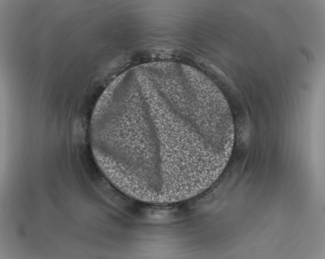 X0000113320661200910131129