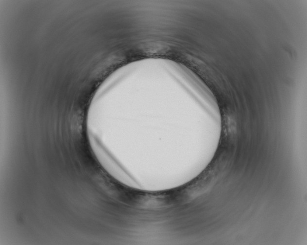 X0000113320664200910131129