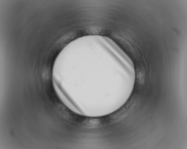 X0000113320665200910131129