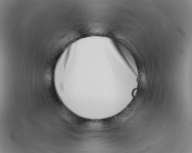 X0000113320668200910131129