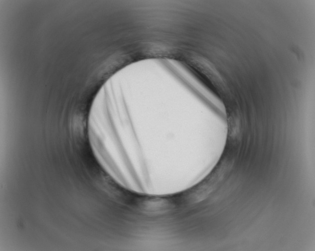 X0000113320669200910131129