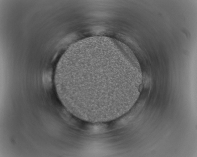 X0000113320670200910131129