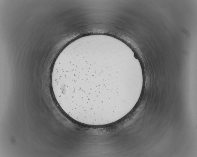 X0000113320673200910131129