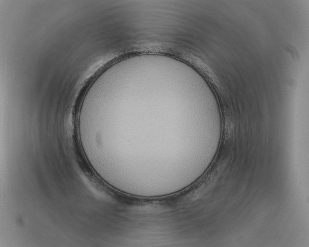 X0000113320674200910131129