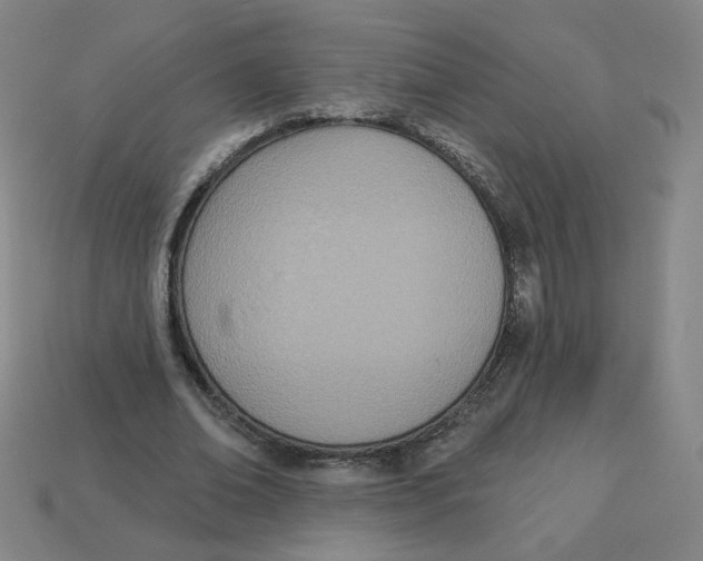 X0000113320678200910131129