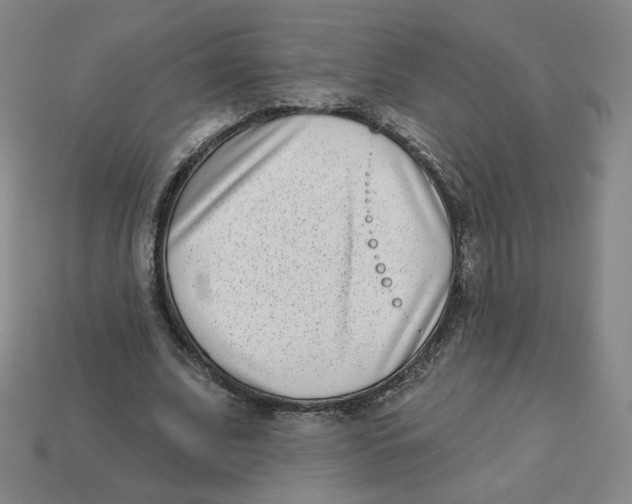 X0000113320679200910131129